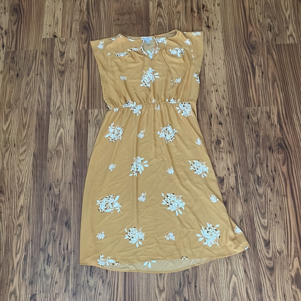 Waist Defined Floral Dress
